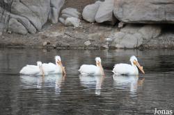 Big Bear Lake