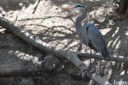 The Living Desert