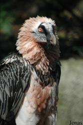 Erlebnis-Zoo Hannover