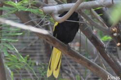 The Living Desert