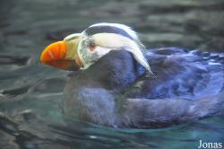 Aquarium of the Pacific