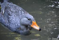 Zoo Zürich