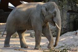 Zoo Zürich