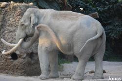 Zoo Zürich