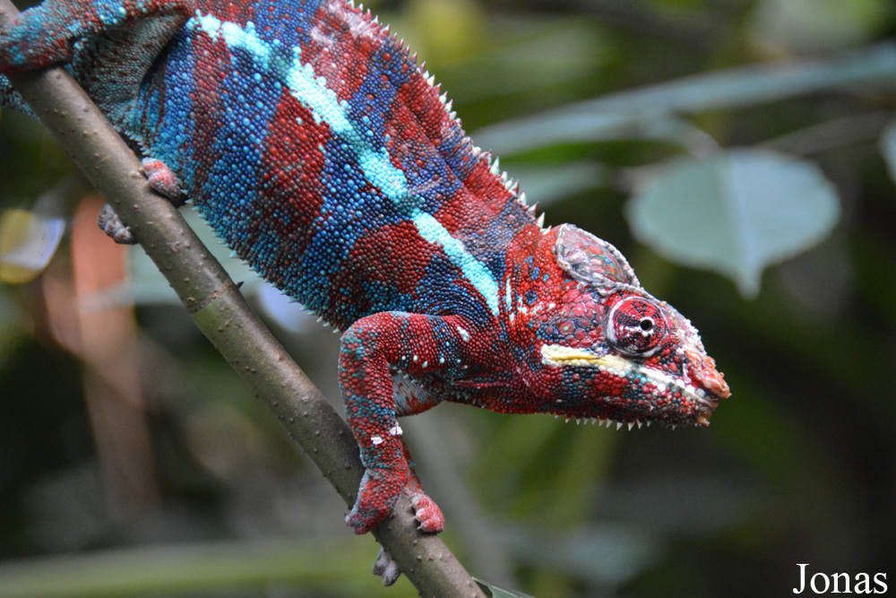 Zoo Zürich