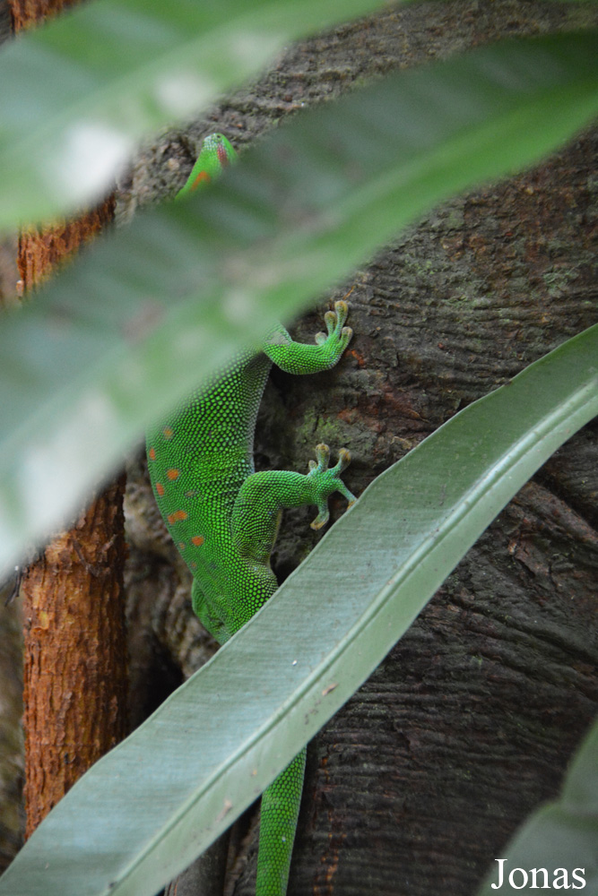 Zoo Zürich