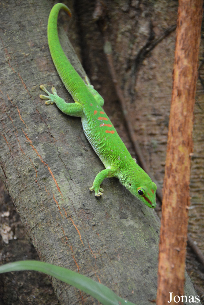 Zoo Zürich