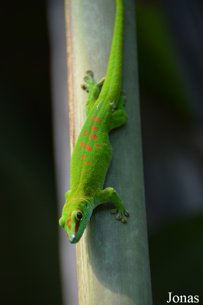 Zoo Zürich