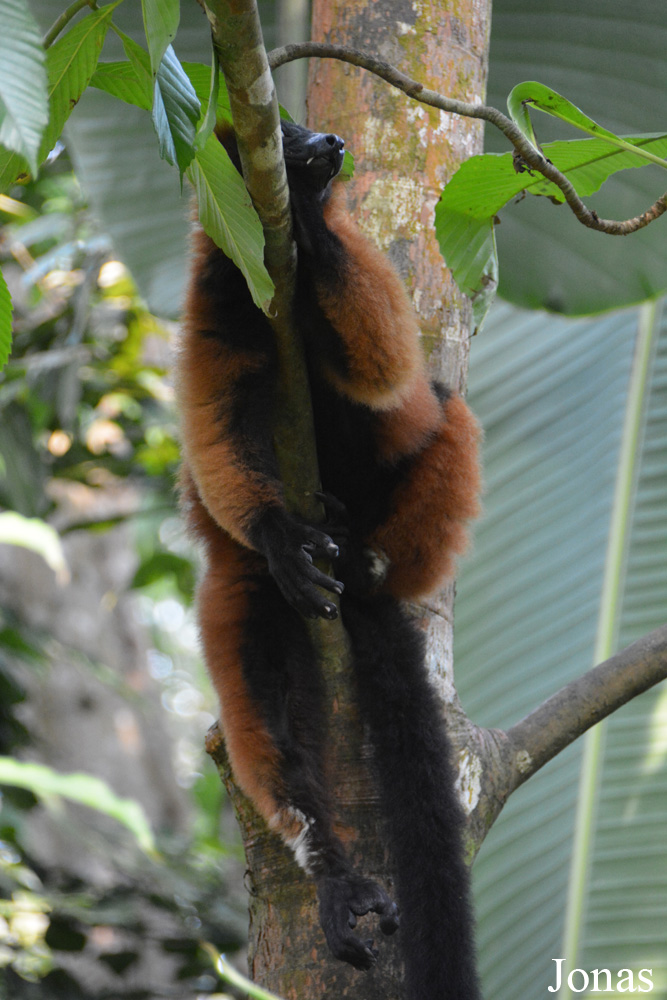 Zoo Zürich