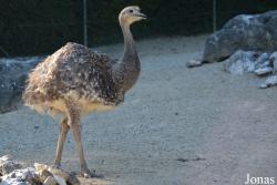 Zoo Zürich