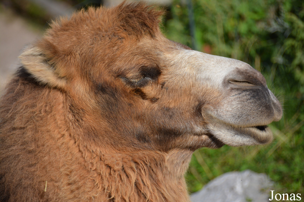 Zoo Zürich