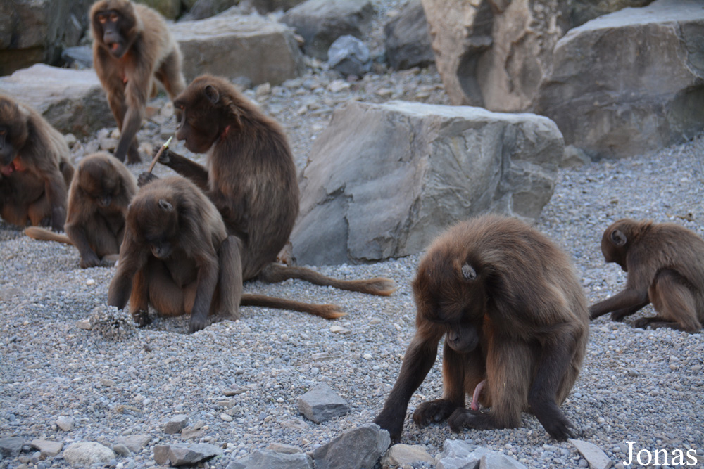 Zoo Zürich