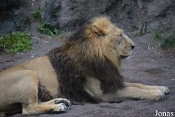 Zoo Zürich