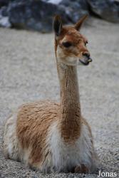 Zoo Zürich