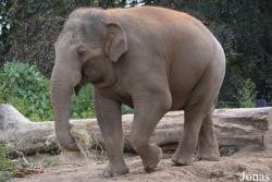 Dublin Zoo