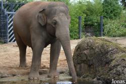 Dublin Zoo