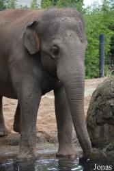 Dublin Zoo