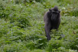 Dublin Zoo