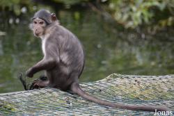 Dublin Zoo