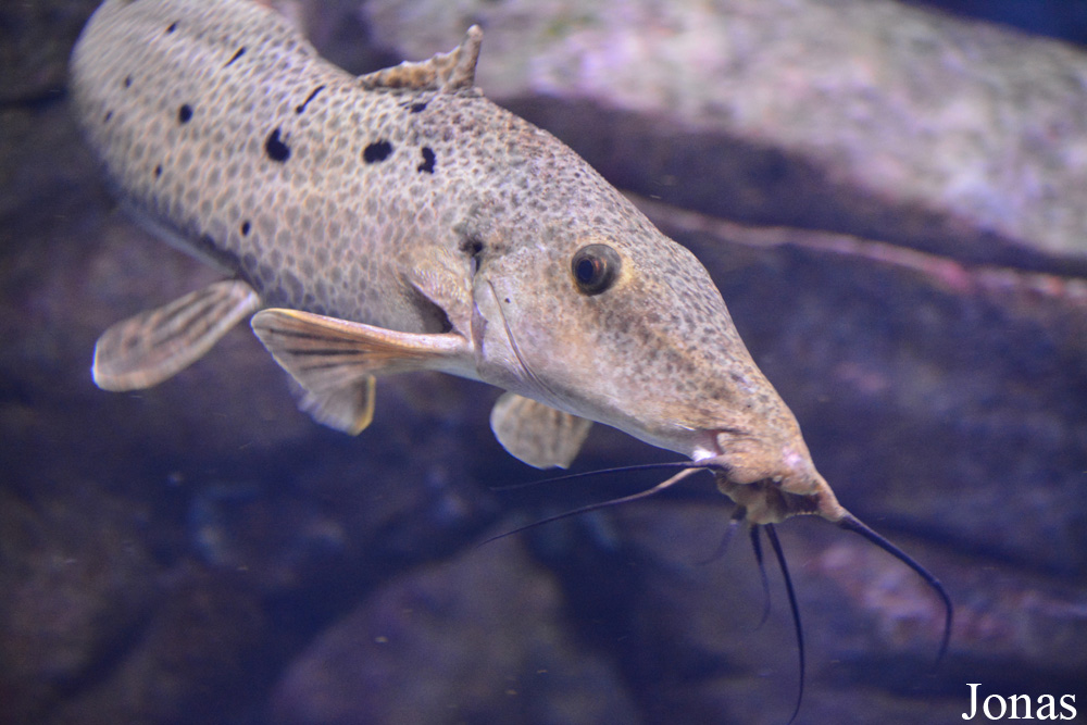 Zoo Wrocław