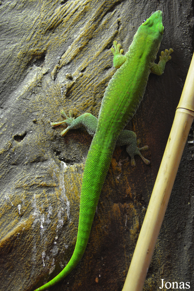 Zoo Wrocław