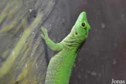 Zoo Wrocław