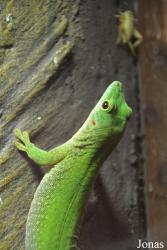 Zoo Wrocław