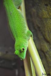 Zoo Wrocław