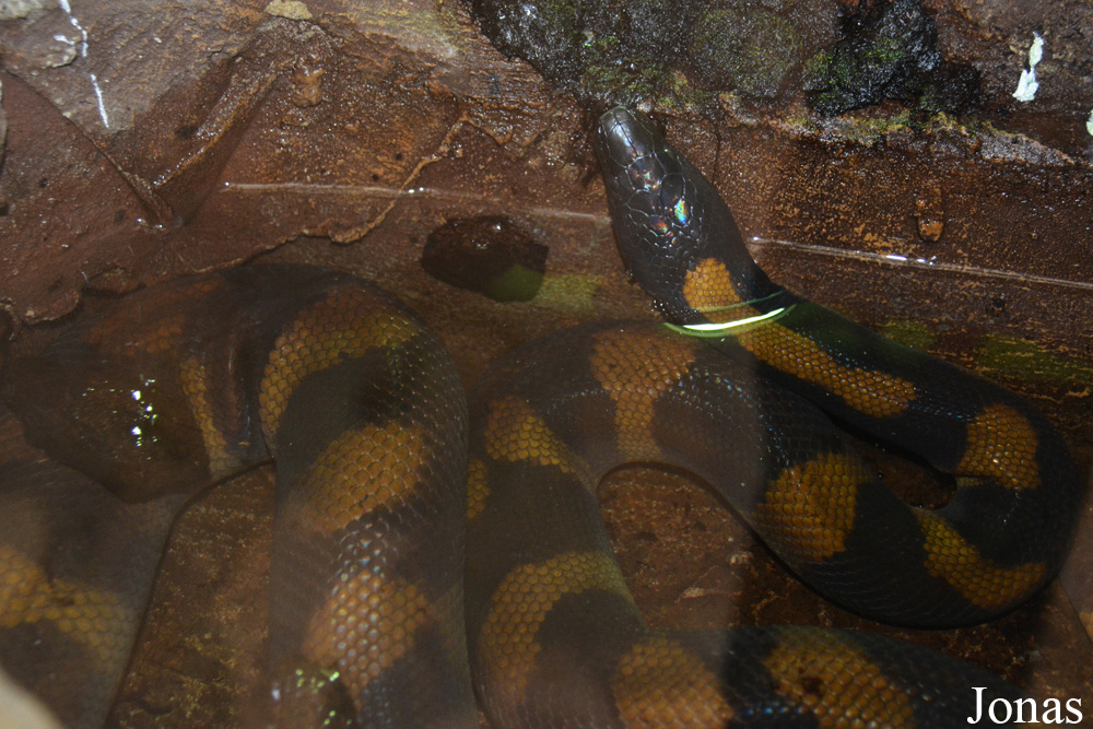 Zoo Wrocław