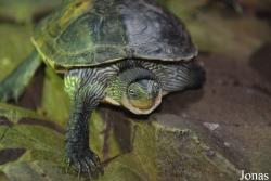 Zoo Wrocław