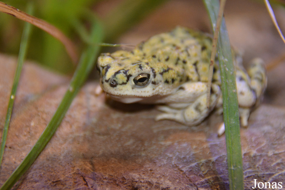 Zoo Wrocław