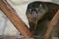 Zoo Wrocław