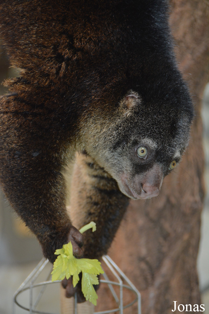 Zoo Wrocław