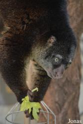 Zoo Wrocław