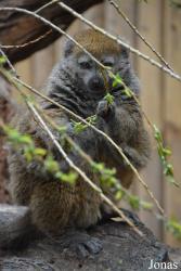 Zoo Wrocław
