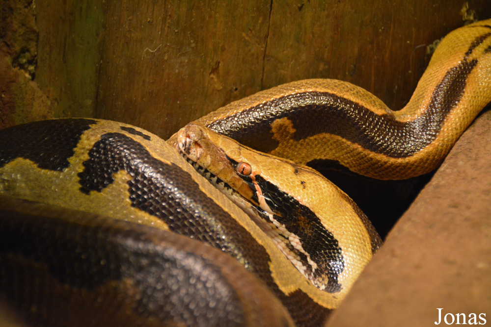 Zoo Wrocław