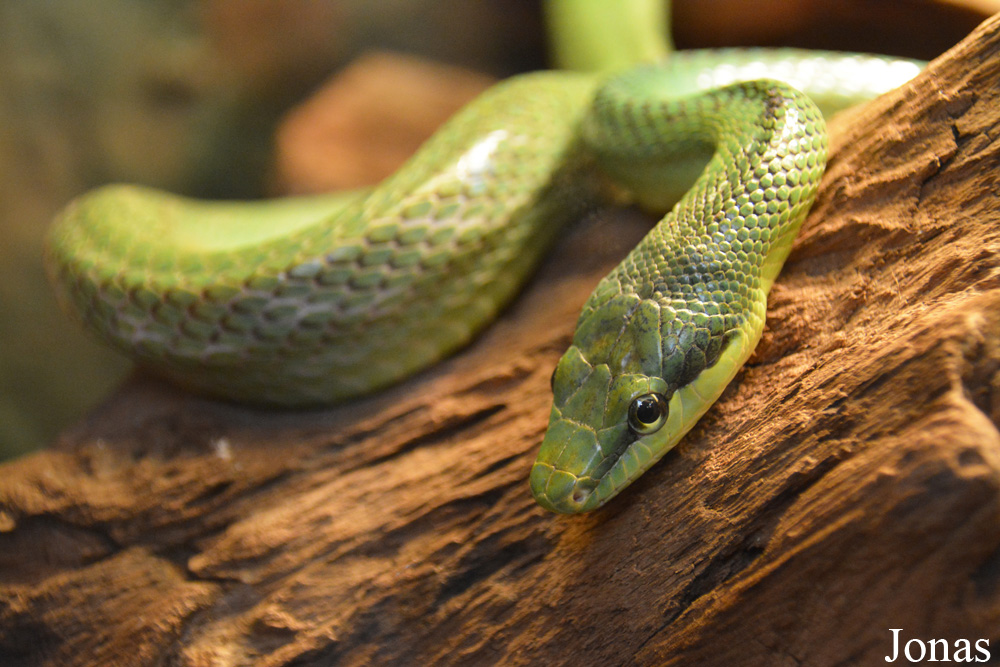 Zoo Wrocław
