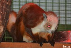 Zoo Wrocław