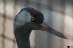 Qingdao Zoo