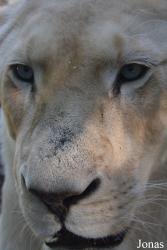 Zoo de Bordeaux-Pessac