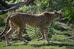 Zoo de Bordeaux-Pessac