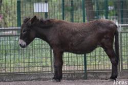Parc Bordelais