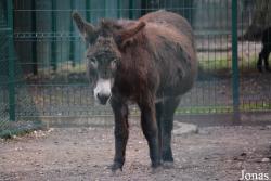 Parc Bordelais