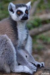Réserve Zoologique de Calviac
