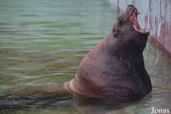 Kaliningrad Zoo