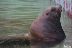 Kaliningrad Zoo