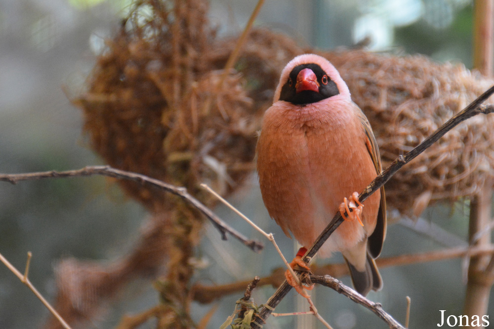 Zoologischer Garten Augsburg