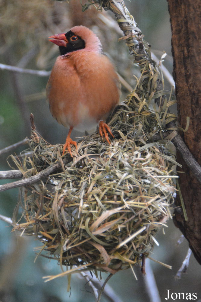 Zoologischer Garten Augsburg