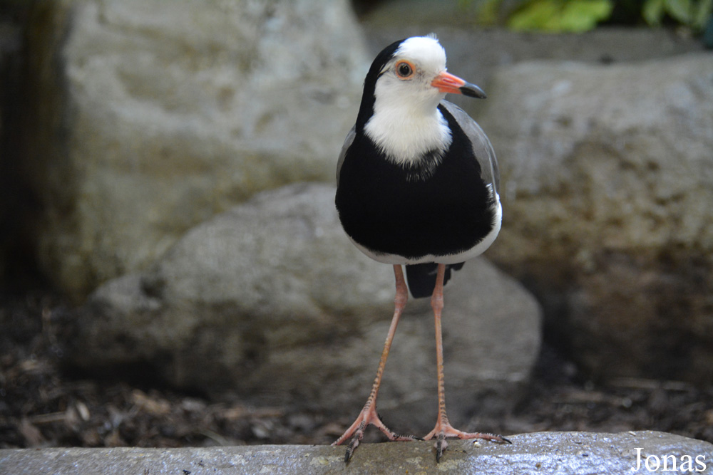 Zoologischer Garten Augsburg