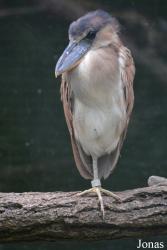 Zoologischer Garten Augsburg